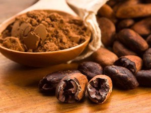 Přečíst celý článek: Theobroma cacao