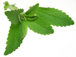 Přečíst celý článek: Stevia